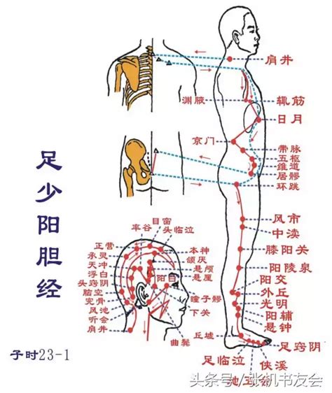 天柱穴氣結|中医经络穴位健康表